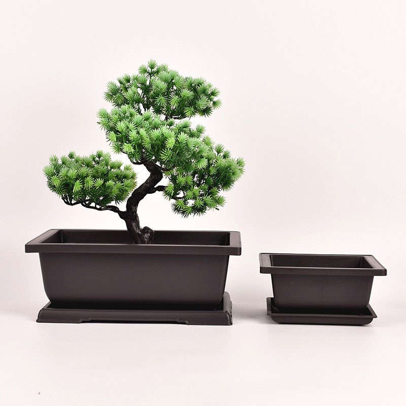 Vaso de Bonsai Retangular